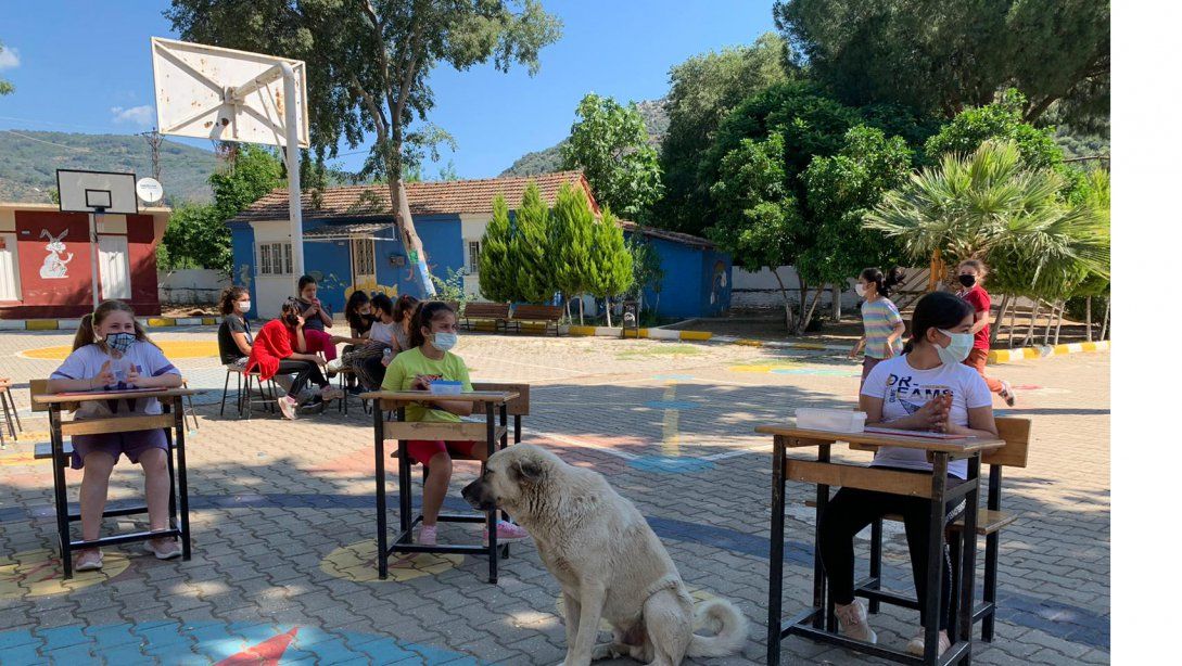 Ergenli Şehit Cevdet Aygün Ortaokulu Öğrencilerimiz Müfredatı Sosyal Etkinliklerle Pekiştirdi